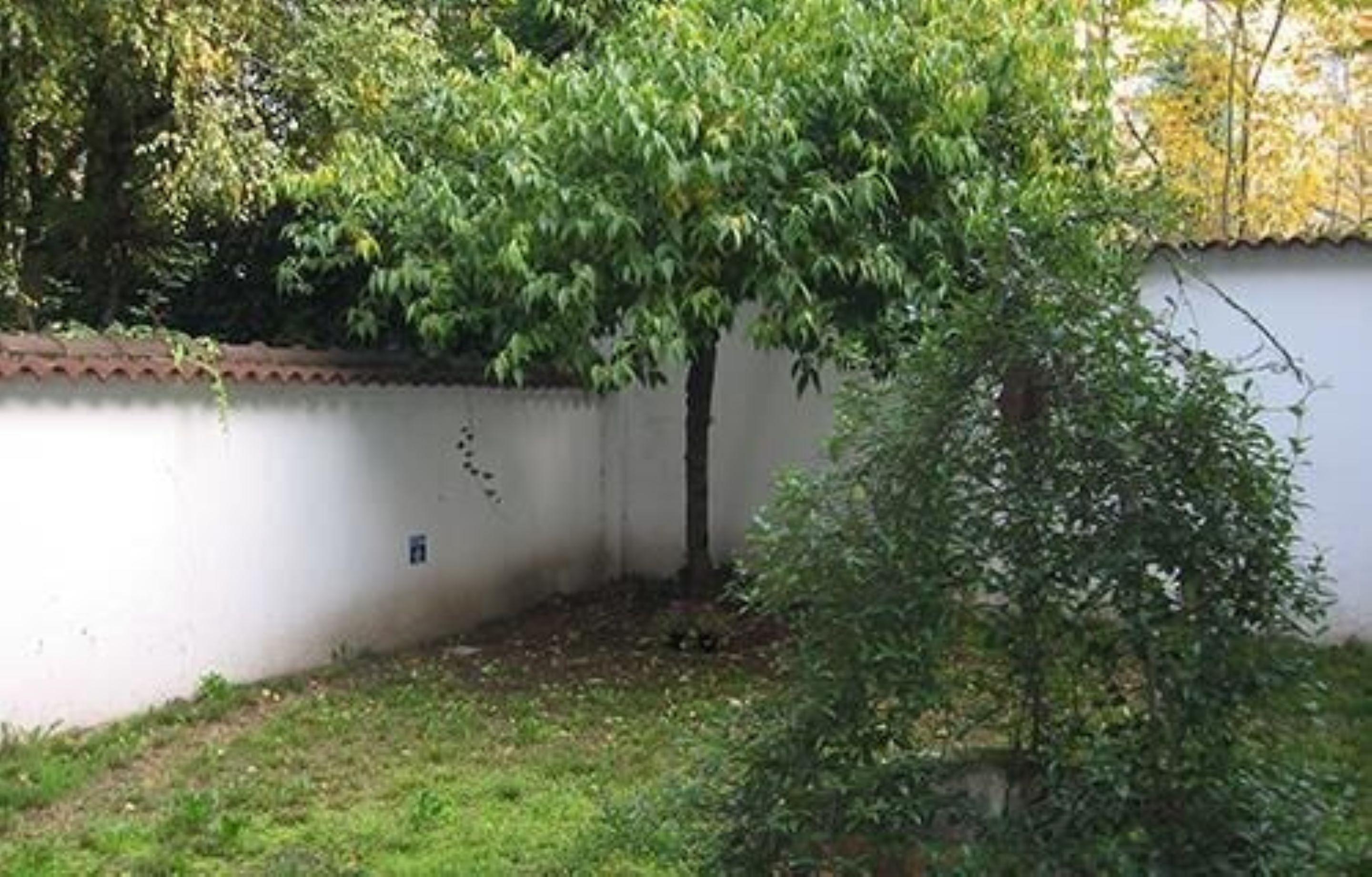 Casa Calicantus — Foto 2